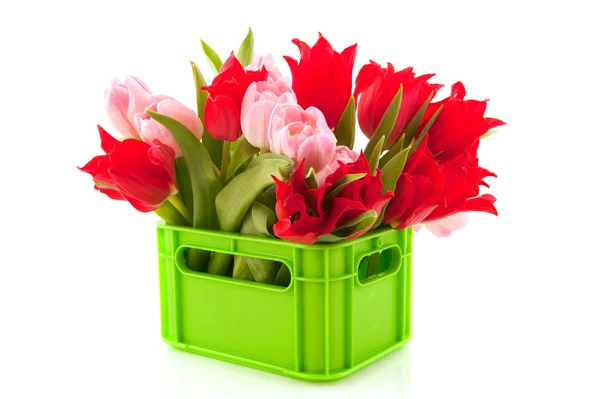 充分的与多彩郁金香在春天的绿色板条箱 — 图库照片