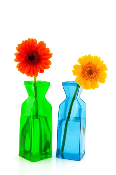 Barevné Gerber Květiny Moderním Vázy Izolovaných Bílém Pozadí — Stock fotografie