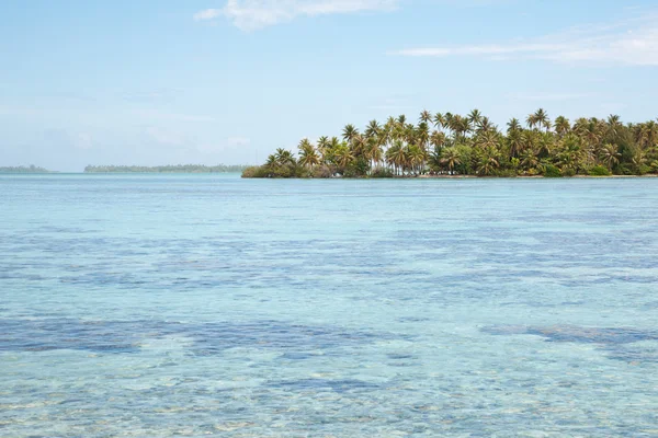 Morze Drzewa Tropikalne Wyspy Palmy — Zdjęcie stockowe