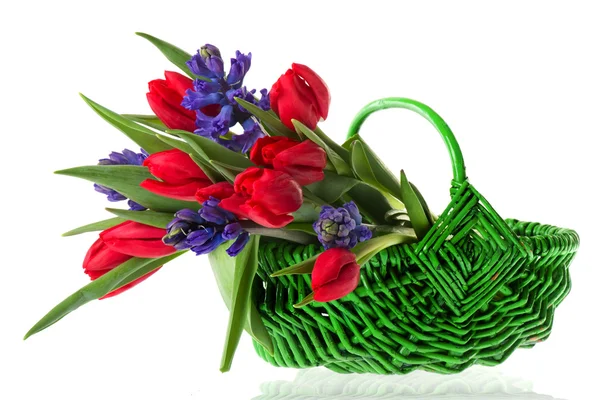 stock image Basket spring flowers