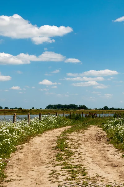オランダのレク川 — ストック写真
