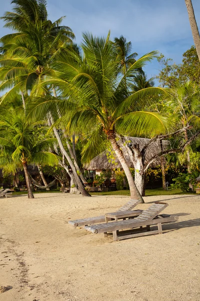 Tropik Ada Palmiye Ağaçlarıyla Deniz — Stok fotoğraf