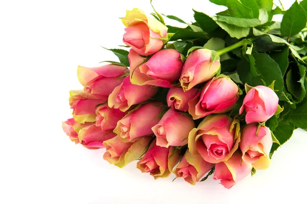 Ροζ τριαντάφυλλα μπουκέτο — Φωτογραφία Αρχείου