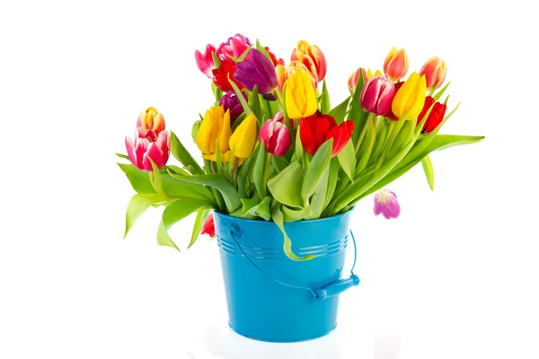 Kleurrijke tulpen in blauwe emmer — Stockfoto