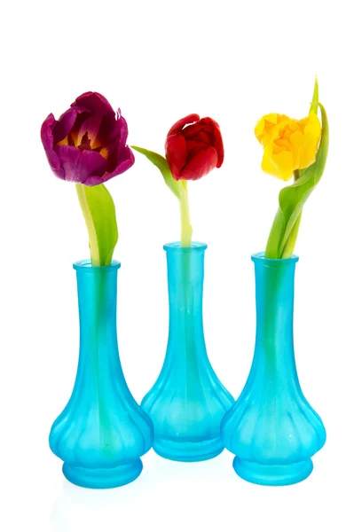 Wiersz Niebieski Szklane Wazony Kolorowe Tulipany — Zdjęcie stockowe