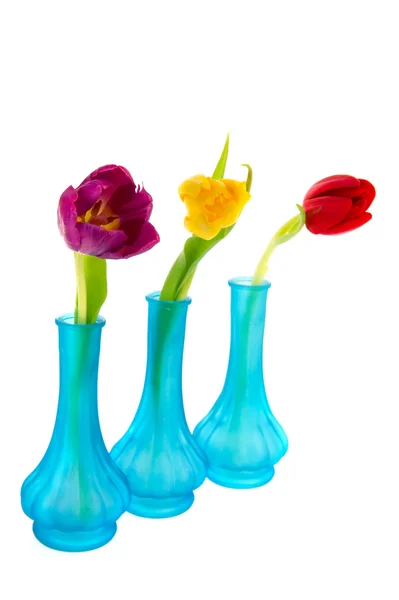 Blue vases with colorful tulips — Stok fotoğraf