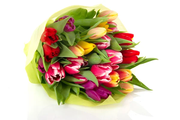 包裹在白色背景上的五颜六色的花束郁金香 — 图库照片