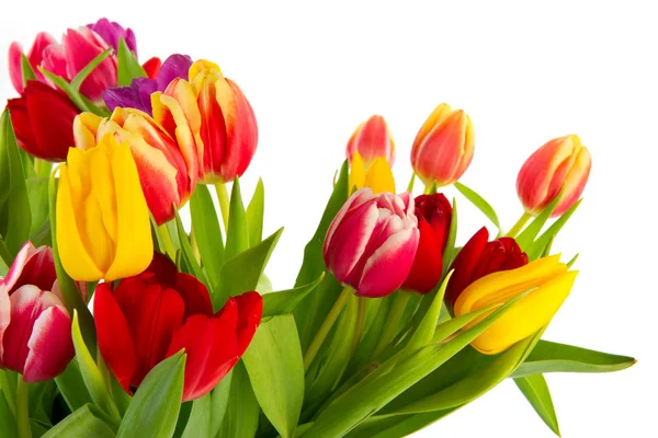 Bouquet Colorful Tulips Isolated White Background — Stock Photo, Image