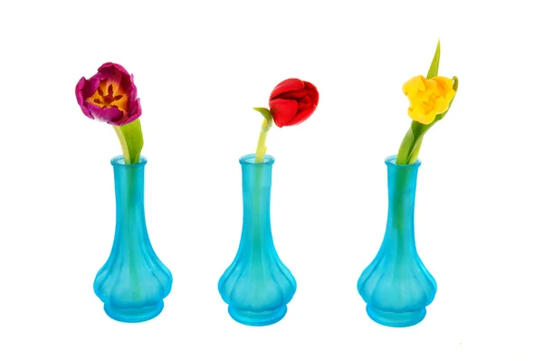 Rad Med Blå Glassvaser Fargerike Tulipaner – stockfoto