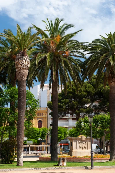 Palm trees in Spanish village — Stock Photo, Image