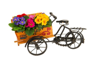 Çiçekçiden çiçek getirmek için bisiklet