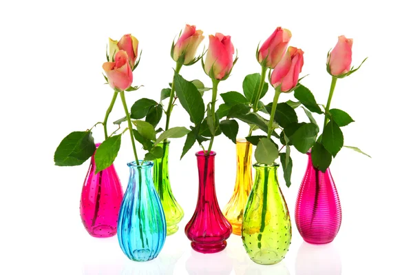 Barevné vázy s růžovými růžemi — Stock fotografie