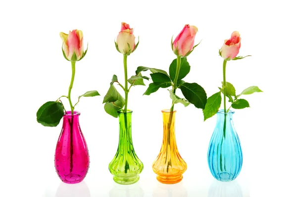 Vasos coloridos com rosas rosa — Fotografia de Stock