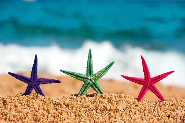 Färgglada Starfishes Sommaren Stranden Vid Havet — Stockfoto