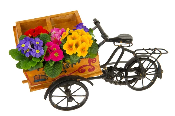 Virág kerékpár — Stock Fotó