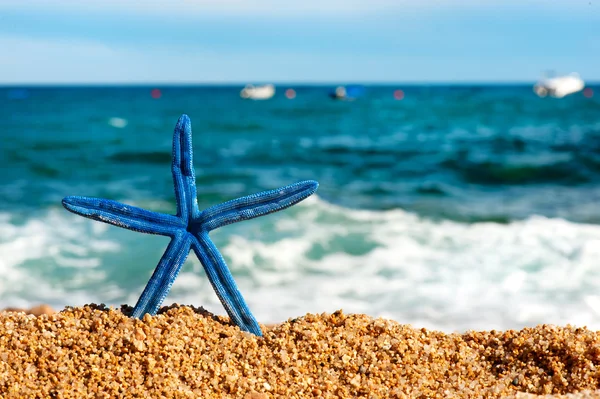 在夏季海滩在海蓝色海星 — 图库照片