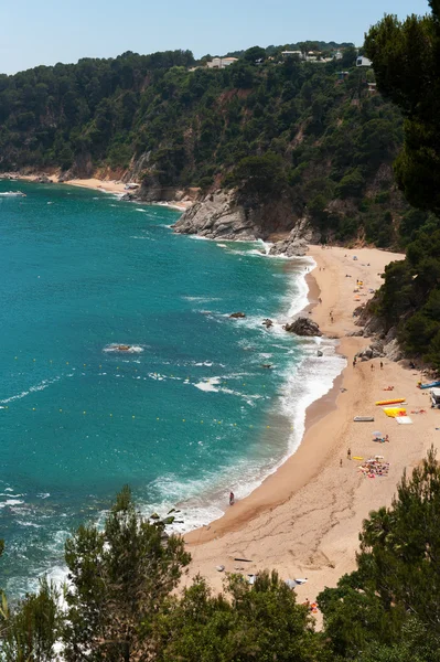 Costa Este Española Con Olas Altas Playa — Foto de Stock