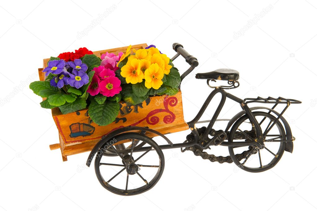 Bike for bringing the flowers from the flower shop