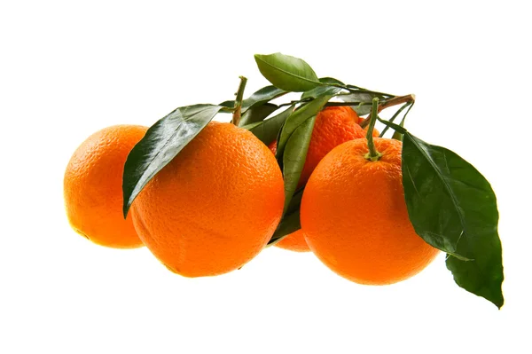 Fresh Oranges Green Leaves Isolated White — Stock Photo, Image