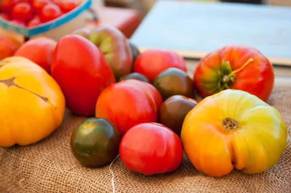 市場で別の色で様々 なトマト — ストック写真