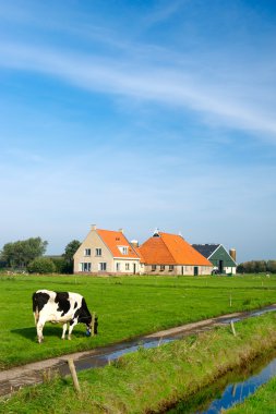 Typical dutch landscape clipart