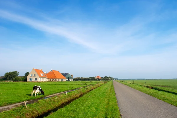 Typowy krajobraz holenderski — Zdjęcie stockowe