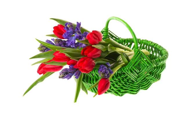 Зеленая Корзина Наполненная Красными Тюльпанами — стоковое фото