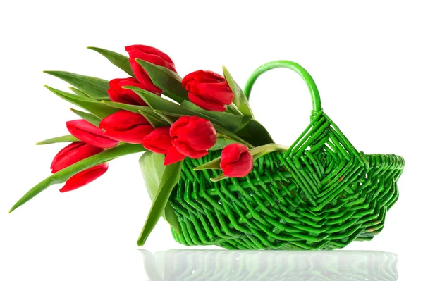 Panier tulipes rouges — Photo