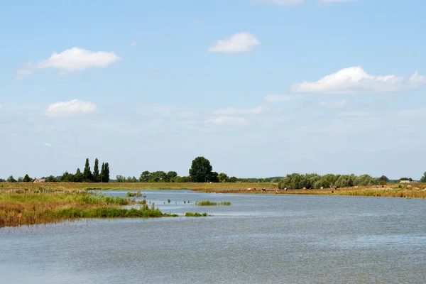 네덜란드에 있는 강 풍경 — 스톡 사진
