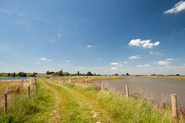 Rzeki Lek Holandii Lato — Zdjęcie stockowe