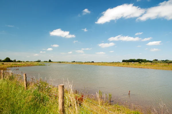 Fluss Die Lek Holland Sommer — Stockfoto