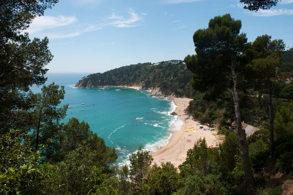 Costa Este Española Con Olas Altas Playa — Foto de Stock