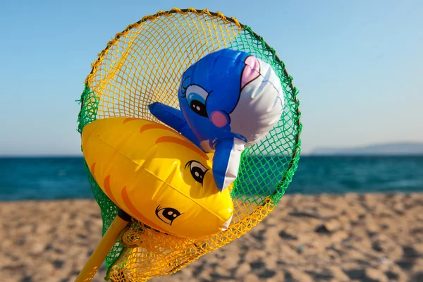 Fishing Net Toy Fishes Beach — Stock Photo, Image