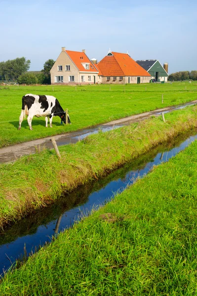 Τυπικό ολλανδικό τοπίο — Φωτογραφία Αρχείου