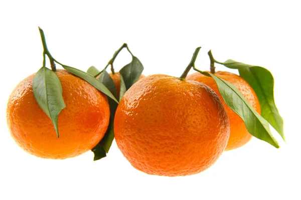 Mandarini con foglie — Foto Stock