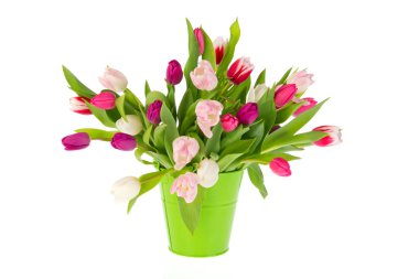 Colorful bouquet tulips clipart