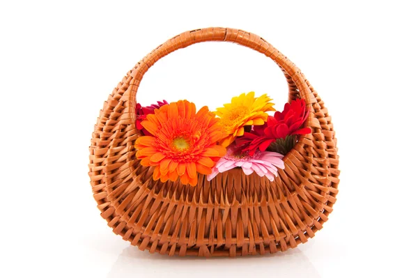 Cute wicker basket flowers — Stock Photo, Image