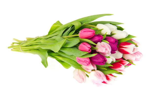 Colorful bouquet tulips — Stock Photo, Image