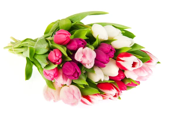 Barevné kytice tulipánů — Stock fotografie