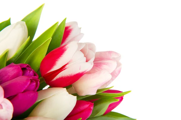 カラフルな花束チューリップ — ストック写真