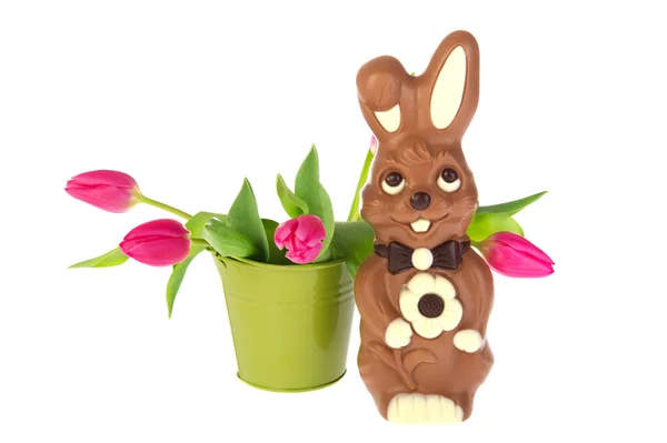 Шоколадный пасхальный заяц — стоковое фото