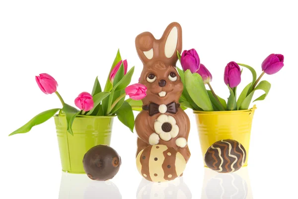 Chocolate easter hare — Stock Photo, Image