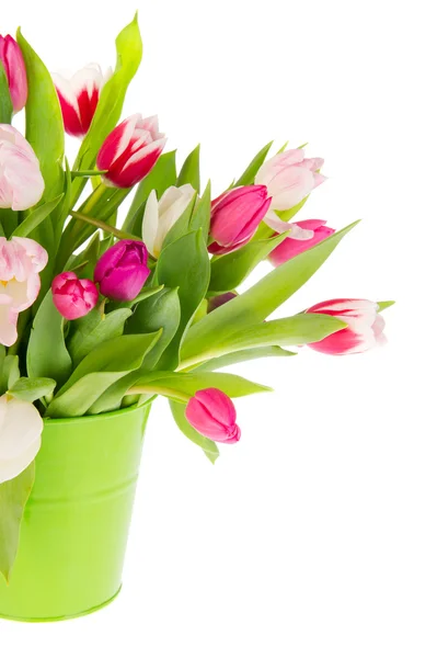 Kolorowy bukiet tulipanów — Zdjęcie stockowe
