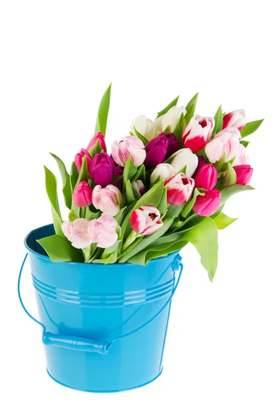Kleurrijke boeket tulpen in emmer — Stockfoto