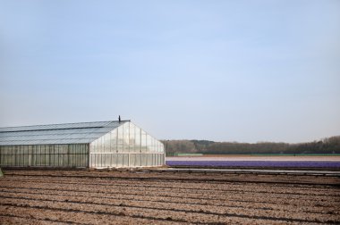 invernadero para la agricultura