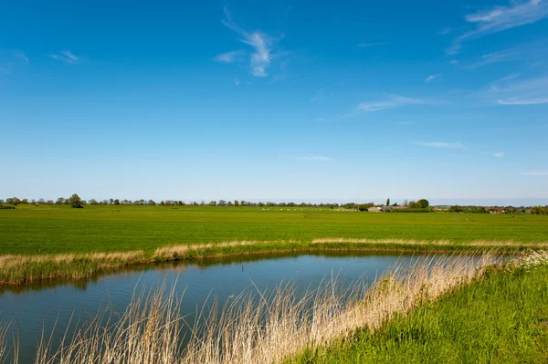 Paesaggio tipico olandese — Foto Stock