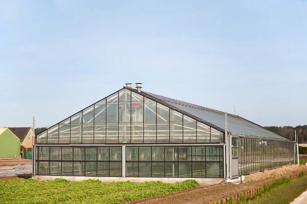 Invernadero para la agricultura — Foto de Stock