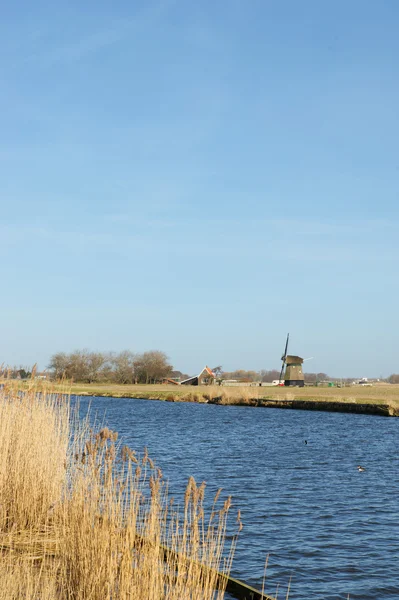 Типовий голландського пейзажу — стокове фото