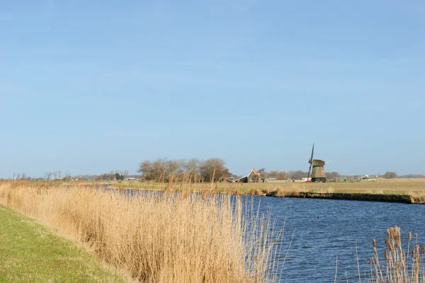 Typical dutch landscape — Stock Photo, Image