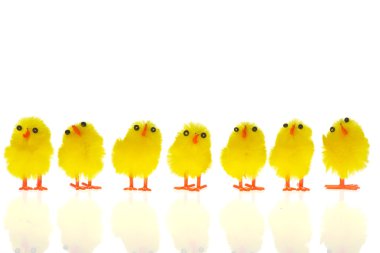 Easter chicks clipart